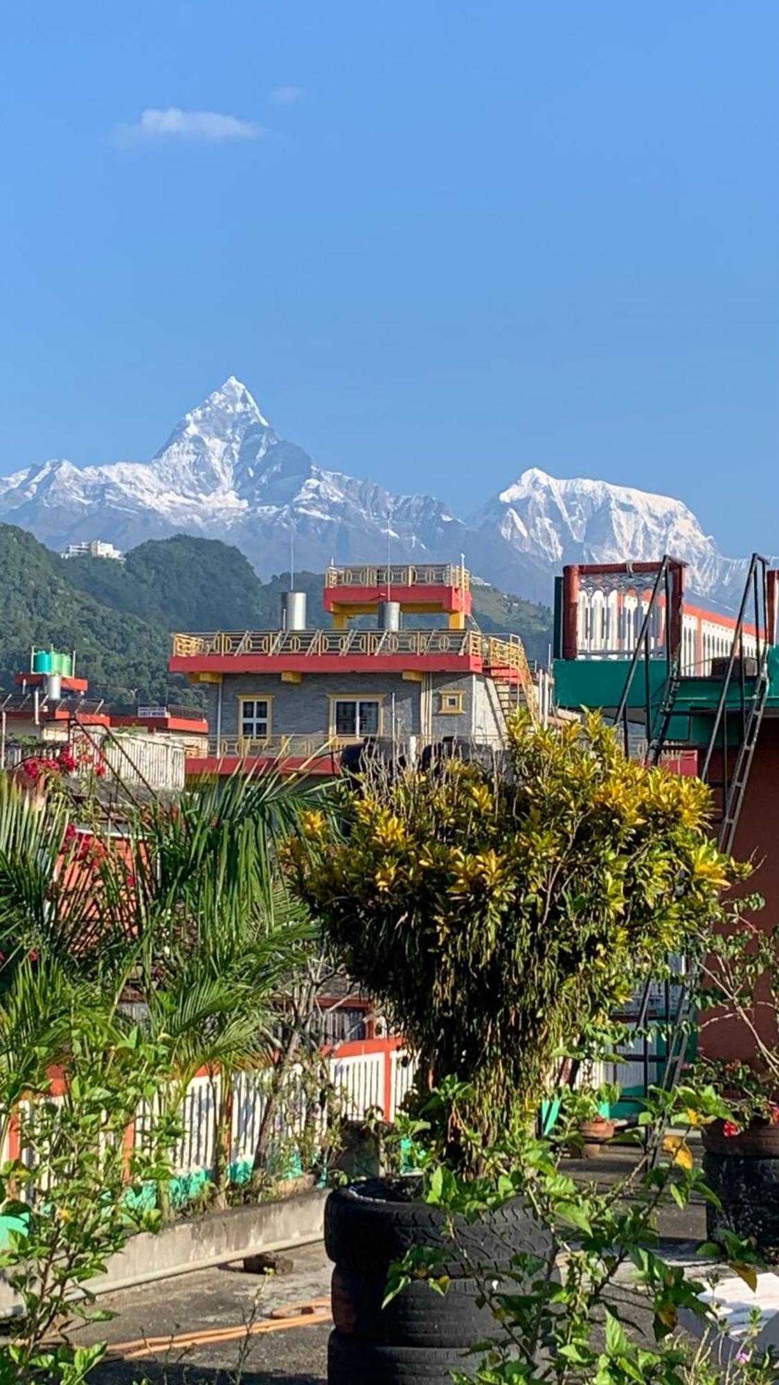 New Pokhara Lodge - Pokhara Lakeside Exterior photo